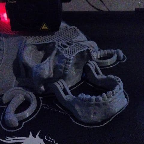 Skull prints on the plate (2023)
