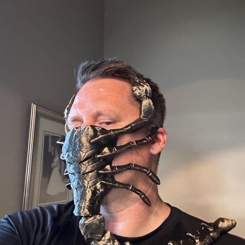 Wearable mask (2024)