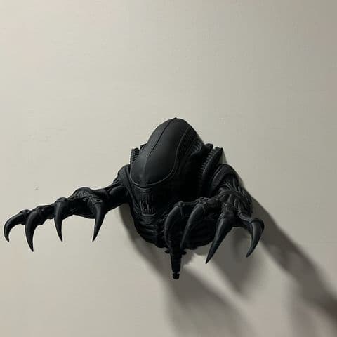 Wall-mount sculpt (2026)